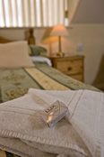 Large family ensuite room